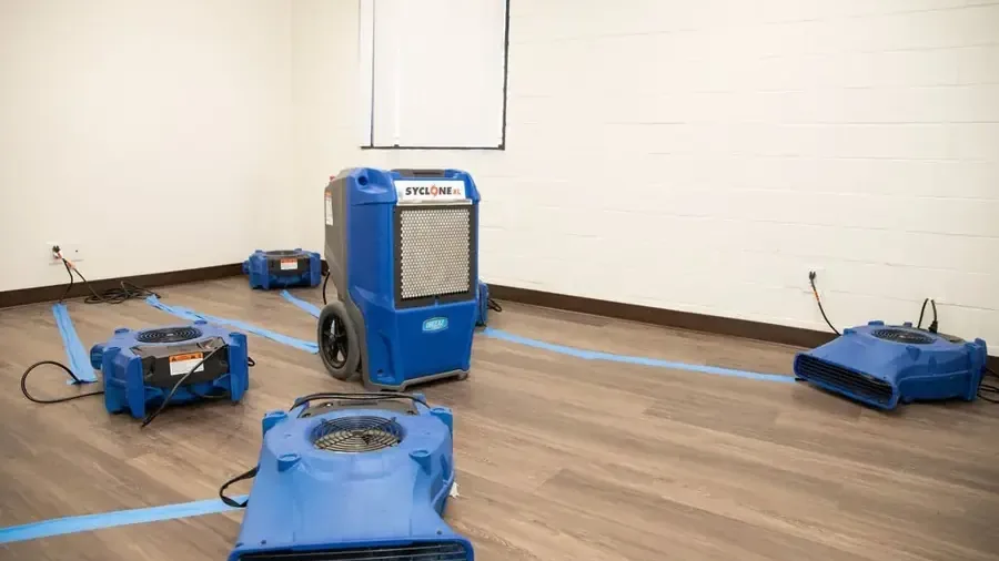 Dehumidifier and low-profile air movers operating in a room