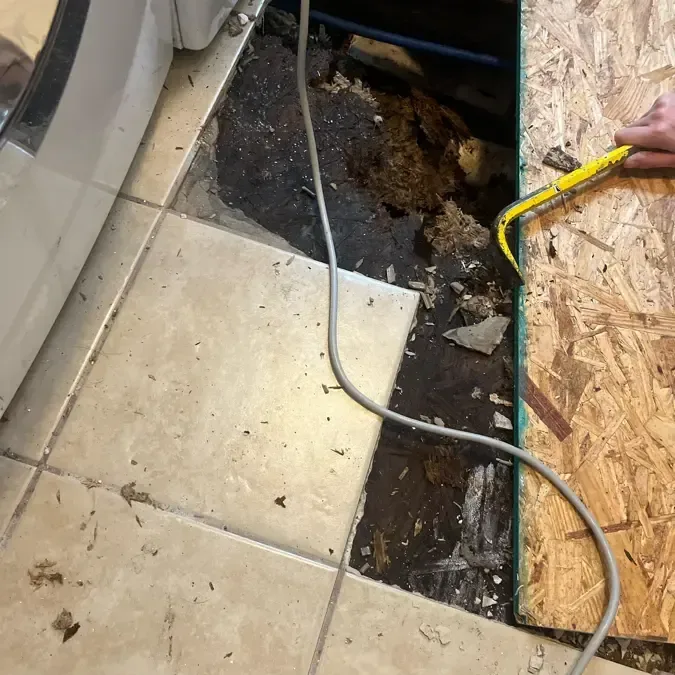 Floor opened down to the subfloor beside a wet tile floor